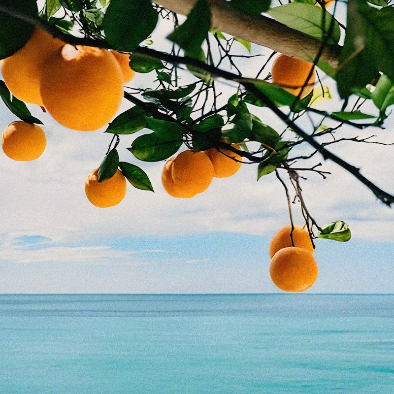 Mediterranean Beach - Essential Perfume Oil 30 ml. - Image 3